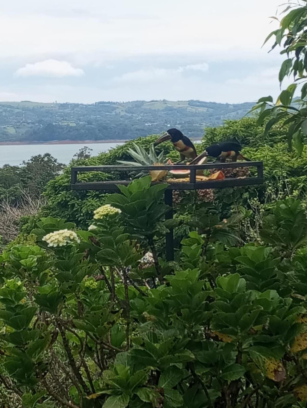 Lakegardens Arenal Condos Nuevo Arenal Zewnętrze zdjęcie