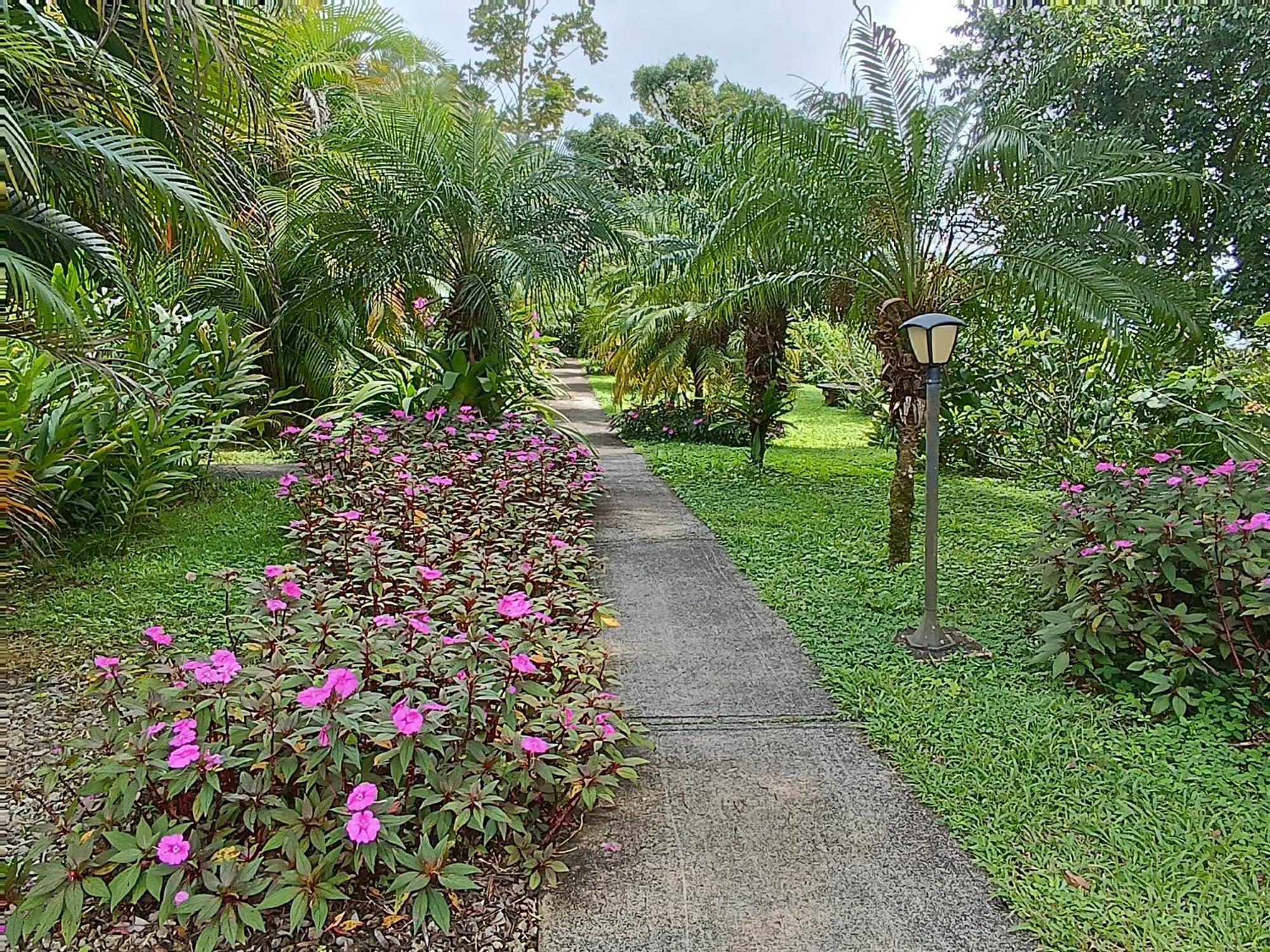Lakegardens Arenal Condos Nuevo Arenal Zewnętrze zdjęcie