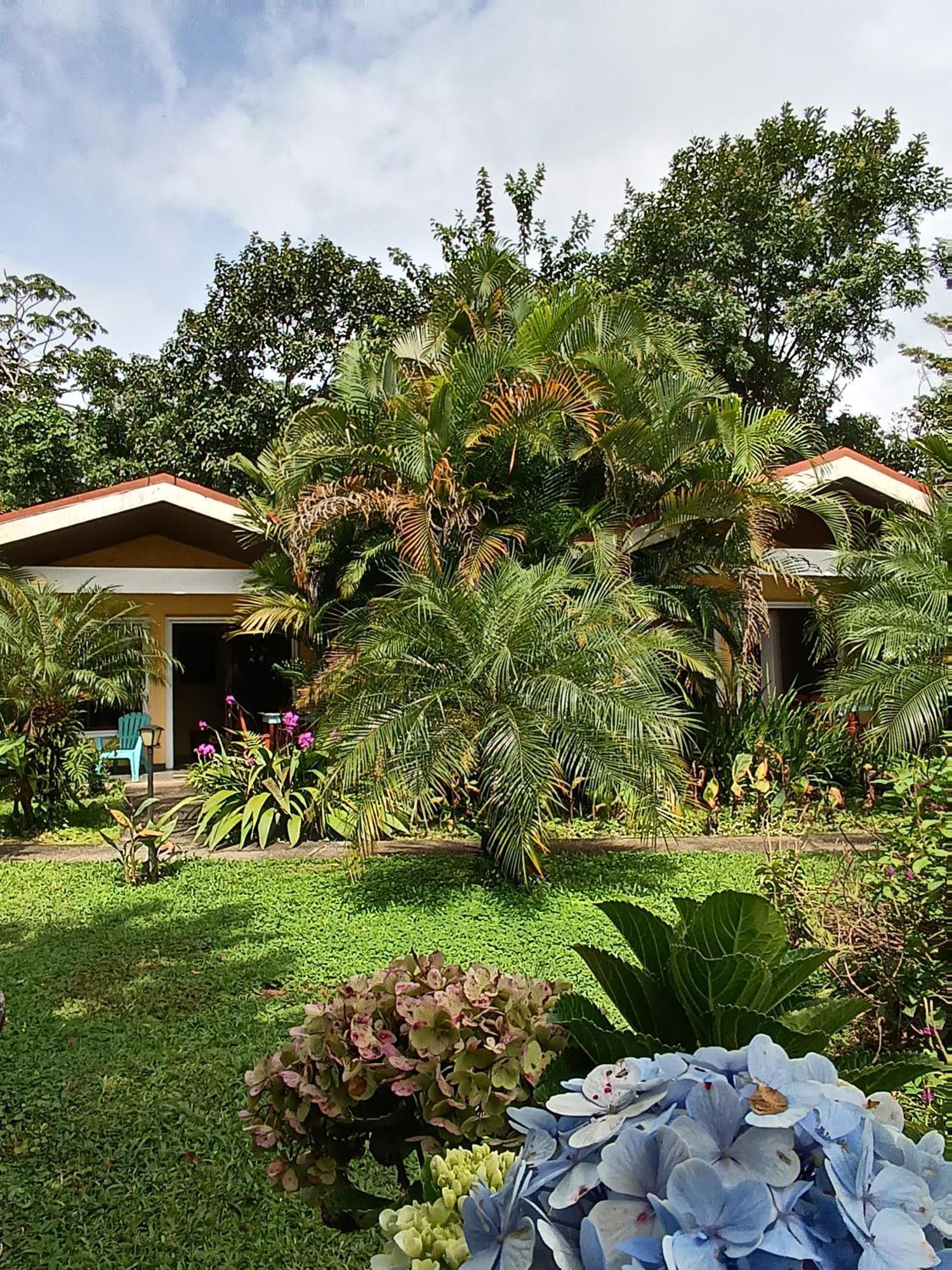 Lakegardens Arenal Condos Nuevo Arenal Zewnętrze zdjęcie