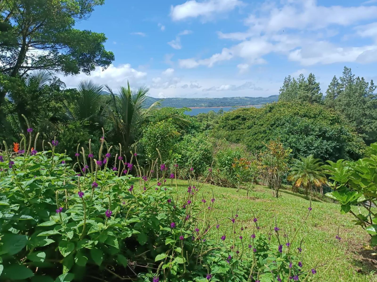Lakegardens Arenal Condos Nuevo Arenal Zewnętrze zdjęcie