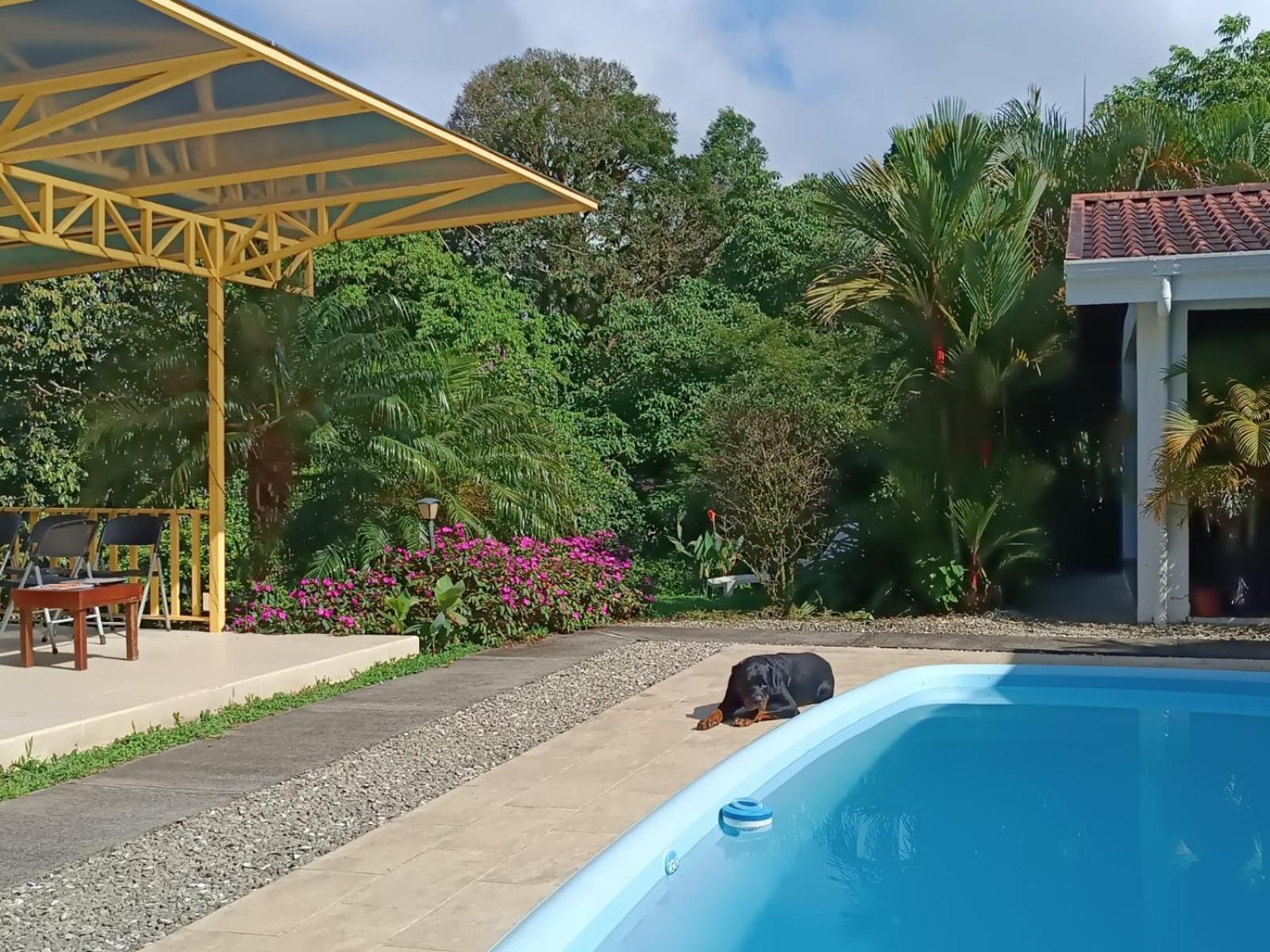 Lakegardens Arenal Condos Nuevo Arenal Zewnętrze zdjęcie