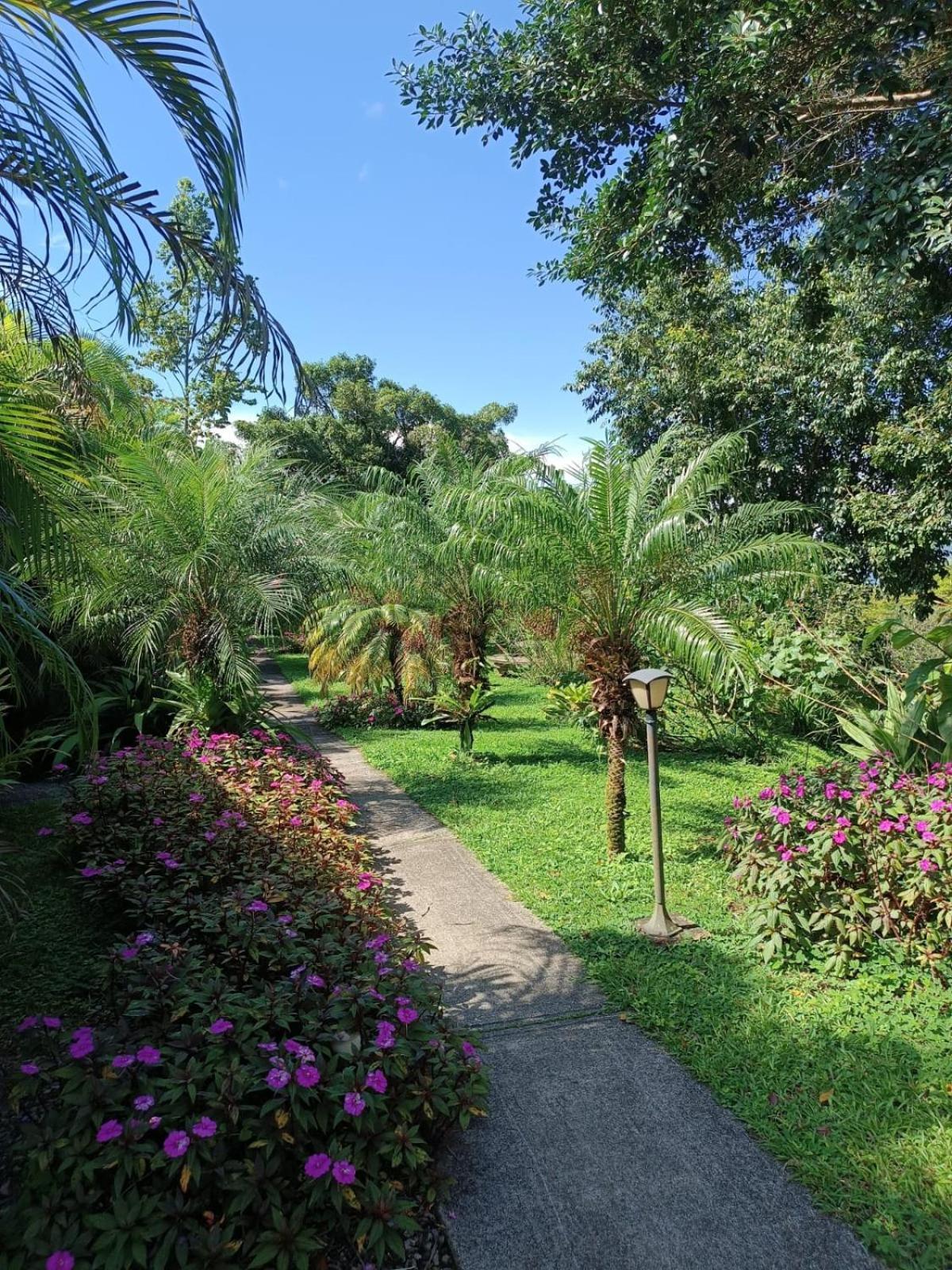 Lakegardens Arenal Condos Nuevo Arenal Zewnętrze zdjęcie