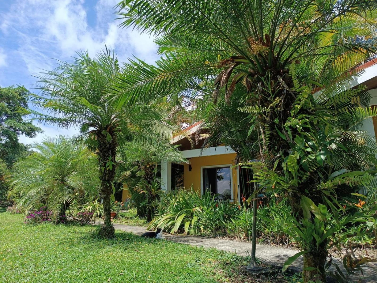 Lakegardens Arenal Condos Nuevo Arenal Zewnętrze zdjęcie